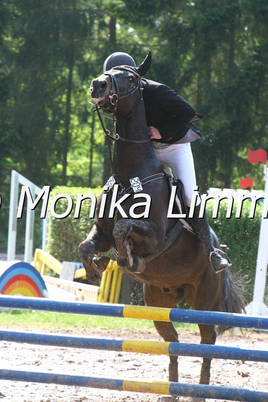 104M7735_Spring A.JPG